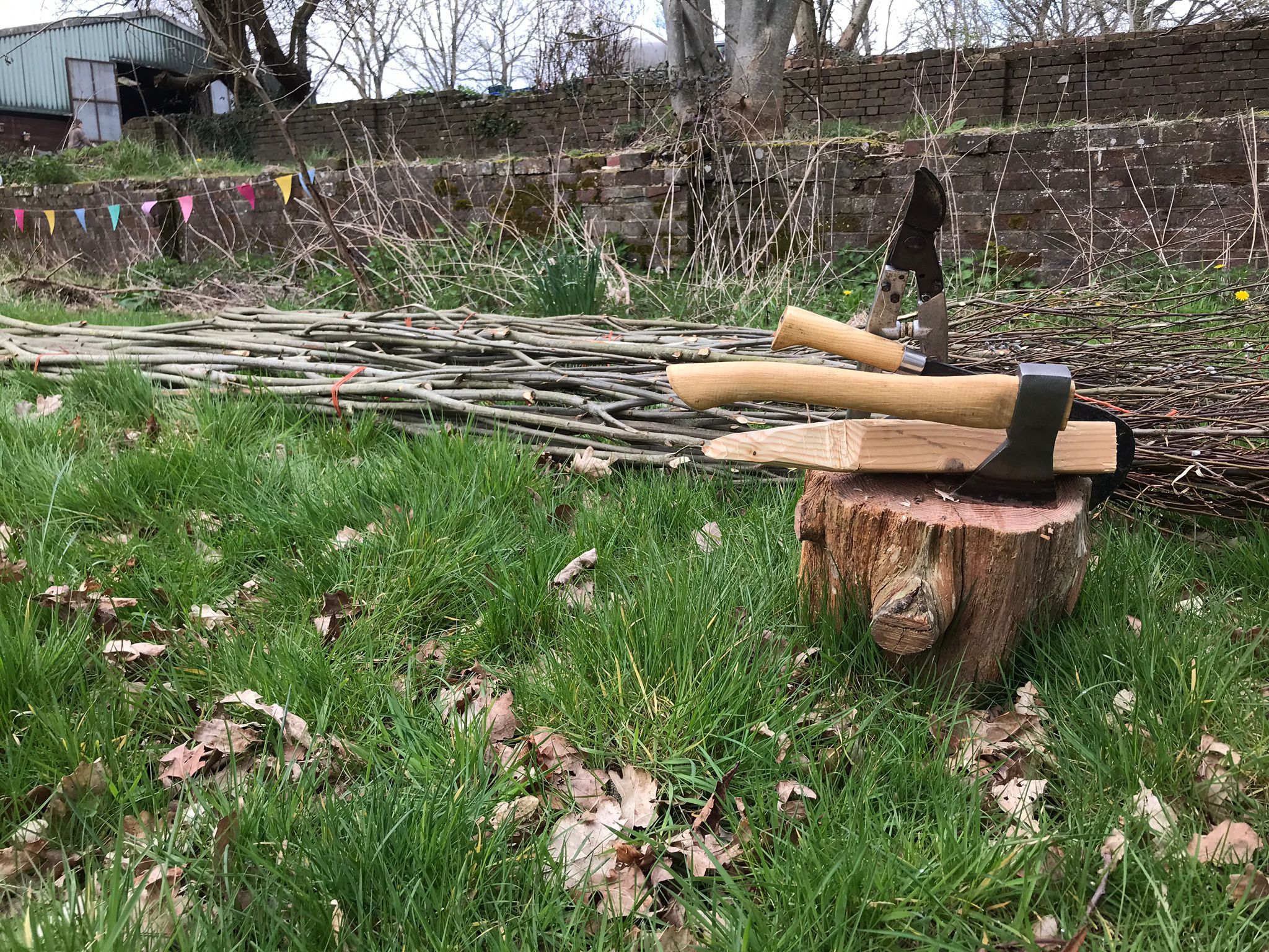 Regenerative Agriculture is a way of farming that restores soil health, boosts biodiversity, and captures carbon, while producing nutritious and local food. It demonstrates that we can feed ourselves and care for the planet at the same time.