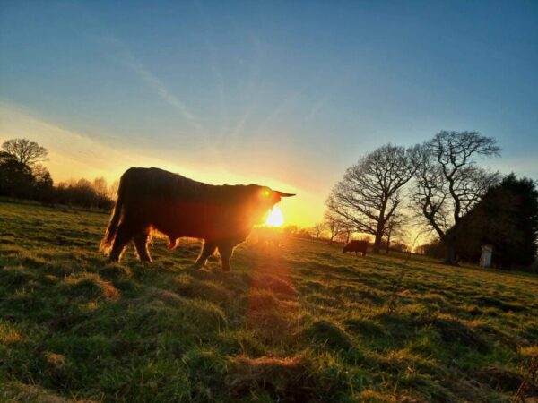 fdad6922-4b96-4e45-99e9-1084e513a597