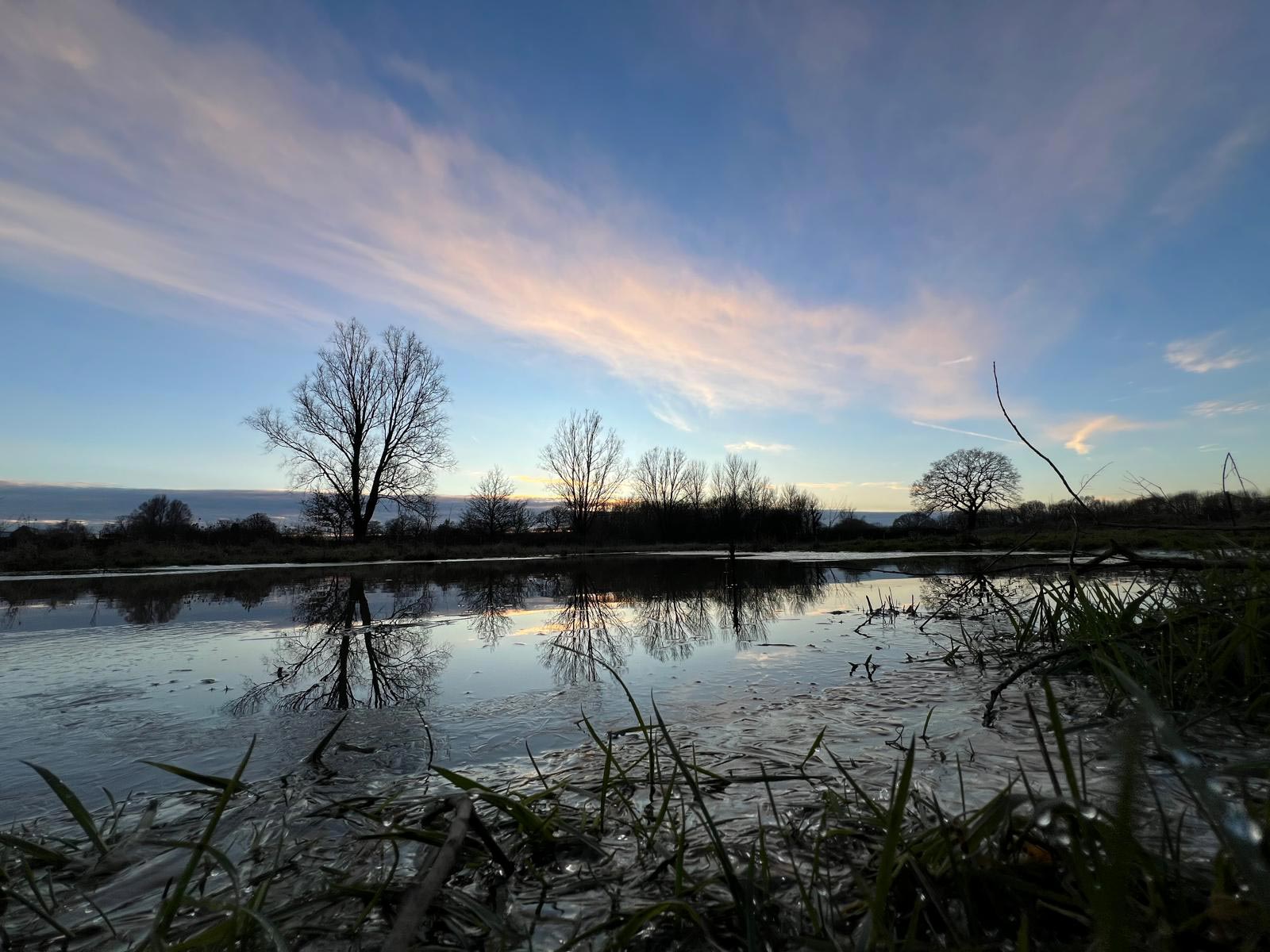 Wetlands-permaculture