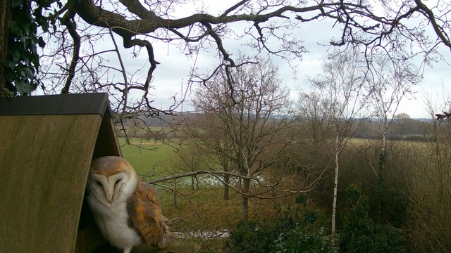 Listening to the Land: Finding Stillness and Wisdom in Nature’s Cycles