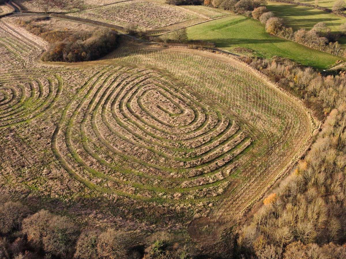 Unveiling Paganism: A Path I Didn’t Know I Was Walking
