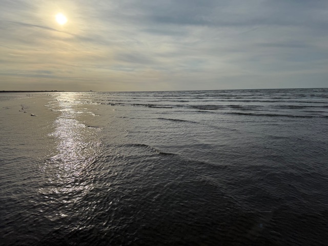 IMG_1463