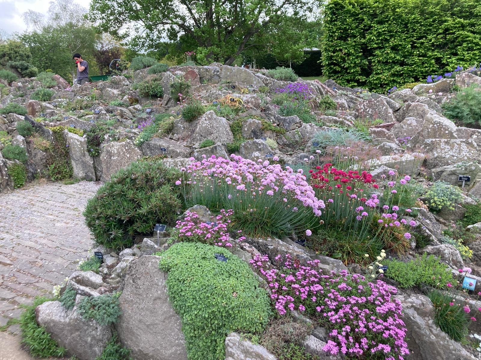Stone-garden
